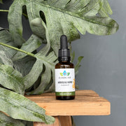 De groene linde – Spray Arnica & More 30 ML