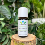 De Groene Linde - Etherische Olie Eucalyptus 10 ml