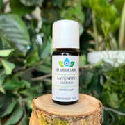 De Groene Linde - Etherische Olie Lavendin 10 ml
