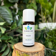 De Groene Linde - Etherische Olie Salie 10 ml