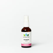 De Groene Linde - Auraspray Psychisch 50 ml