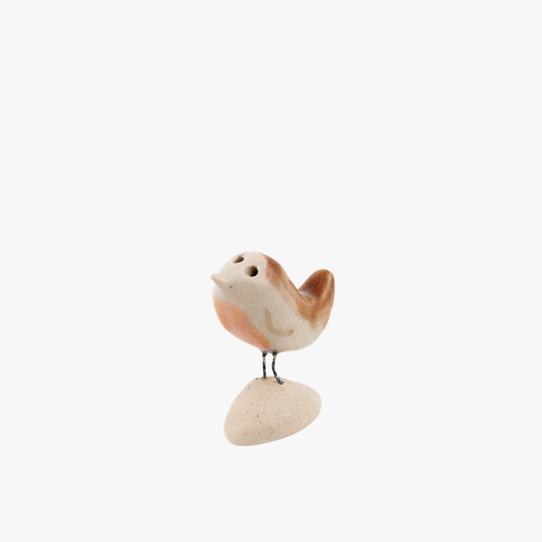 Cadeaudoosje - Happy Bird Day